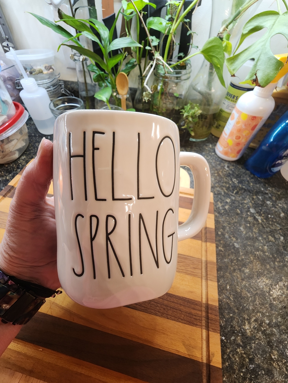 White "Hello Spring" Ceramic Mug - RAE DUNN